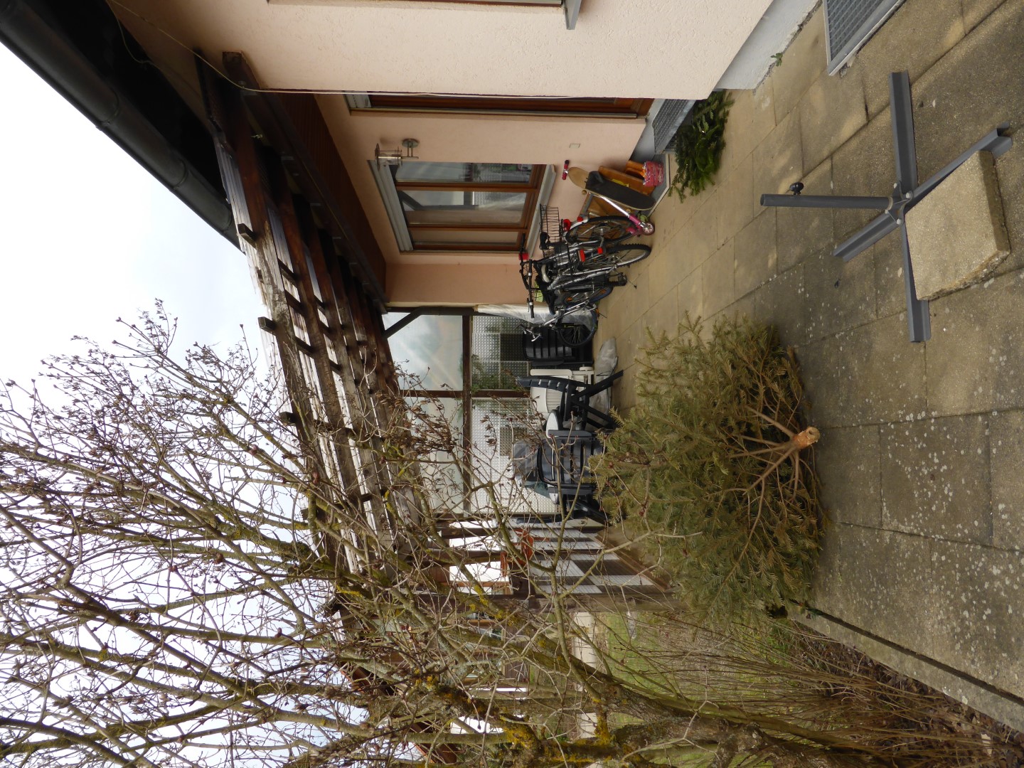 Brunnenweg 32 3a Terrasse Dreiecksfichte Flieder