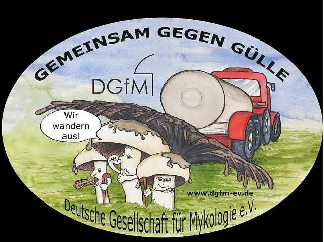 DGfM und Glle 2 638x478