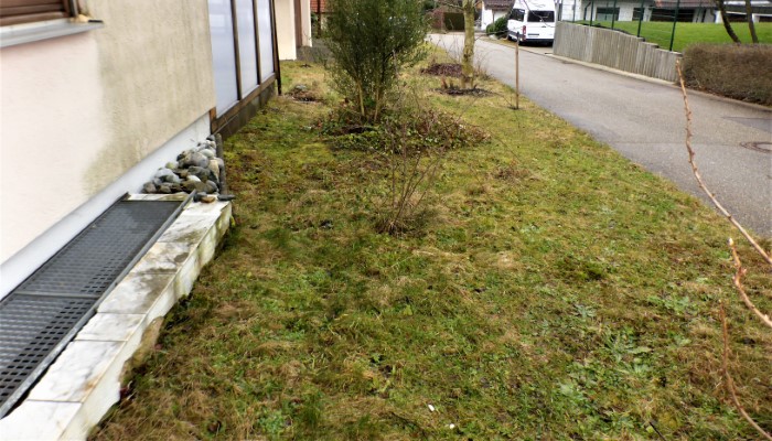 Heidebeet 15 2020 2 Fortsetzung unbehandelt Buchsbaum Magerwiese kein Bodenaustausch Artenvielfalt Krieglsteiner Pilzschule Schwaebischer Wald Biologe Pilzexperte Pilzpapst