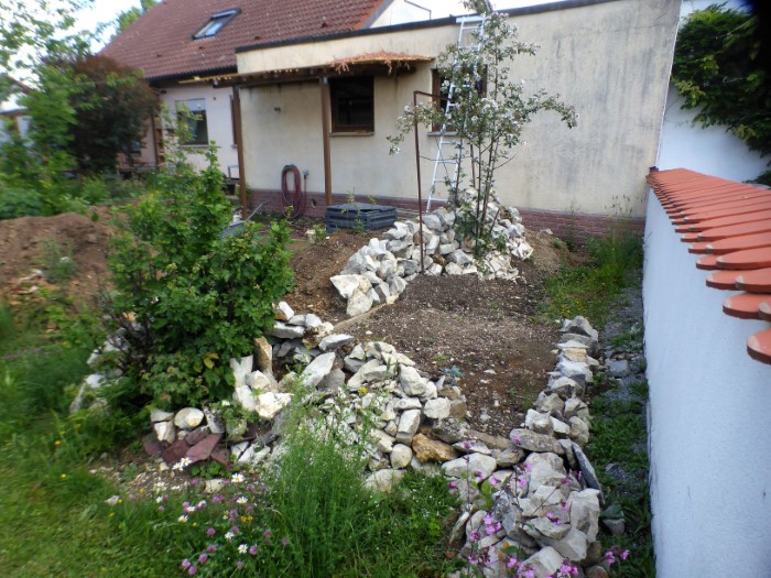 Kalkstein Mauer 9 Rote Johannisbeere Brombeere Grenzmauer Garage Terrasse Kompostfeld Nahrungszone Morchelbeet Naturgarten Krieglsteiner Kompostierung Sanierung Oberboden PIlzkurse Wildkraeuterkurs