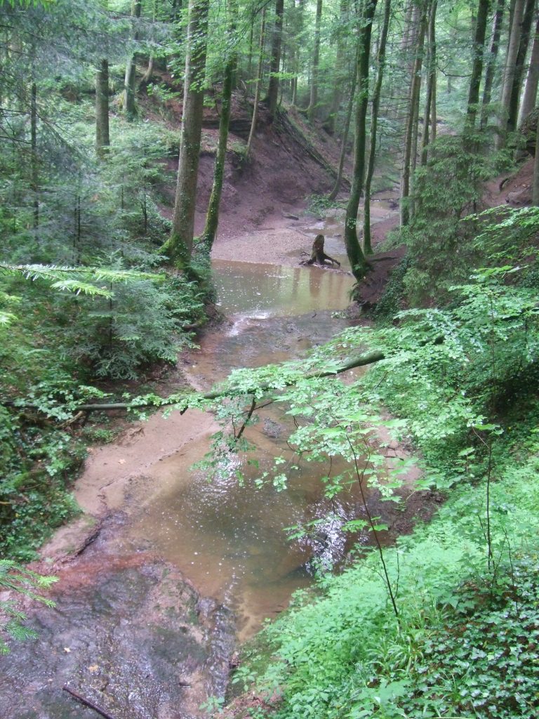 Breitenfürst-Bach-2-Welzheim-Schorndorf-Edenbach-Schlucht-Wieslauf