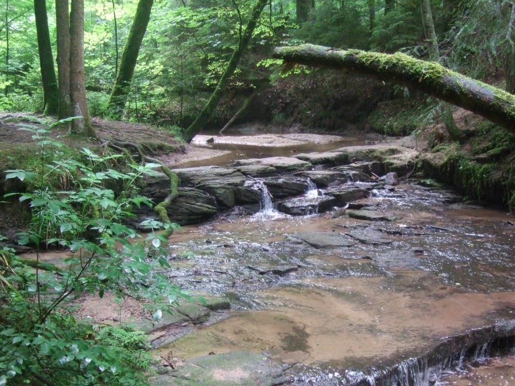 Breitenfürst-Edenbach-Welzheimer-Wald-Stuttgart-Schwäbisch-Gmünd