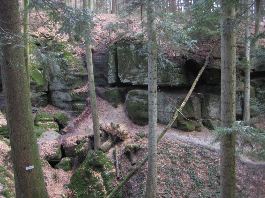 Hägelesklinge-Schwäbischer-Wald-Pilzkurse-Pilzschule-Buchen-Tannen-Einzugsgebiet-Stuttgart