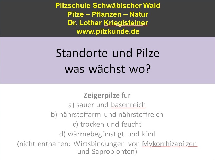 Standorte-Pilzvorkommen-Indikator-Arten